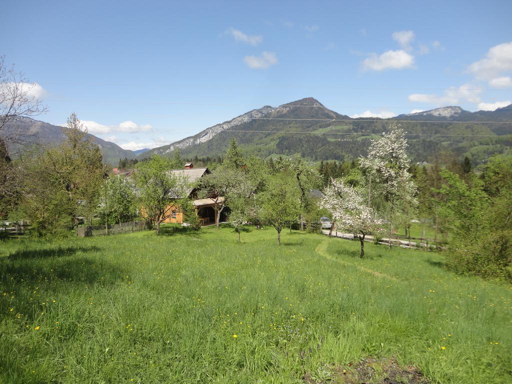 Chalet Ramsau 8 Bad Goisern Bagian luar foto