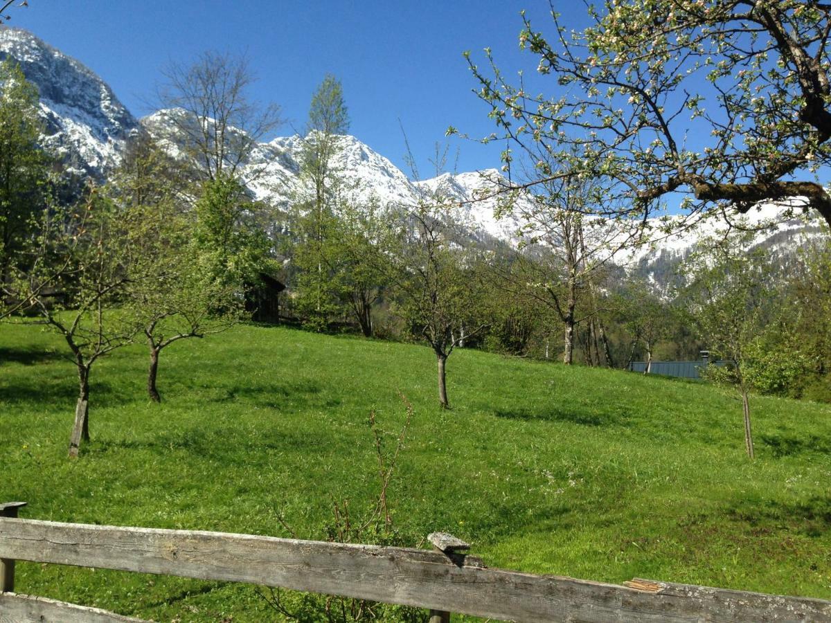 Chalet Ramsau 8 Bad Goisern Bagian luar foto